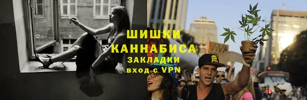 соль ск Волосово