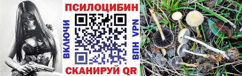 ОМГ ОМГ ссылка  Ворсма  Псилоцибиновые грибы прущие грибы  даркнет сайт 